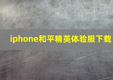 iphone和平精英体验服下载