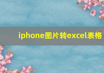 iphone图片转excel表格