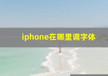 iphone在哪里调字体