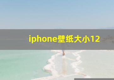 iphone壁纸大小12