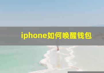 iphone如何唤醒钱包