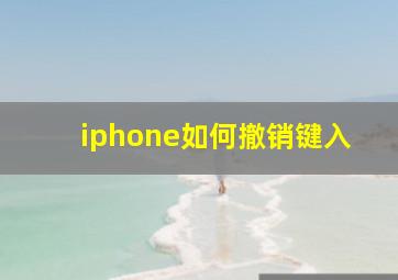 iphone如何撤销键入