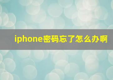 iphone密码忘了怎么办啊