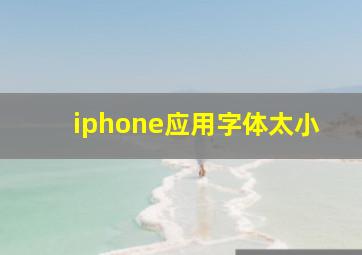 iphone应用字体太小