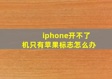 iphone开不了机只有苹果标志怎么办