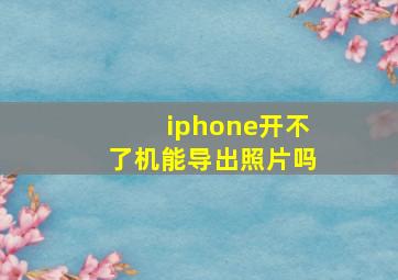 iphone开不了机能导出照片吗