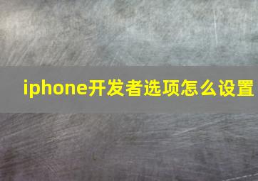 iphone开发者选项怎么设置