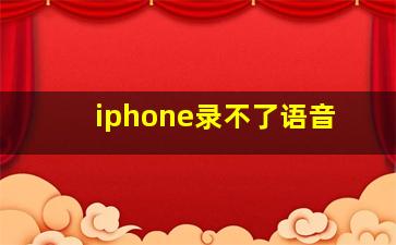 iphone录不了语音