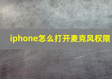 iphone怎么打开麦克风权限