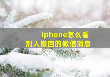 iphone怎么看别人撤回的微信消息