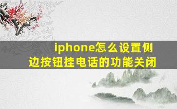 iphone怎么设置侧边按钮挂电话的功能关闭