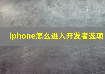 iphone怎么进入开发者选项