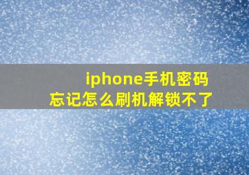 iphone手机密码忘记怎么刷机解锁不了