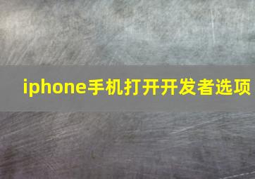 iphone手机打开开发者选项