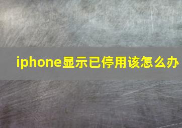 iphone显示已停用该怎么办