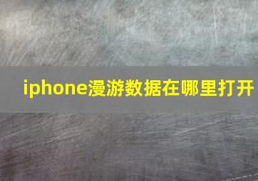 iphone漫游数据在哪里打开