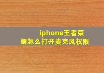 iphone王者荣耀怎么打开麦克风权限