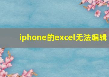 iphone的excel无法编辑