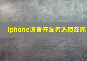 iphone设置开发者选项在哪