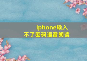 iphone输入不了密码语音朗读