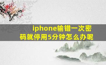 iphone输错一次密码就停用5分钟怎么办呢