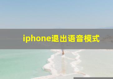 iphone退出语音模式