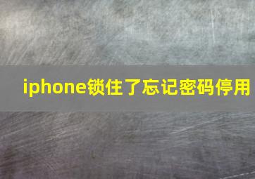 iphone锁住了忘记密码停用