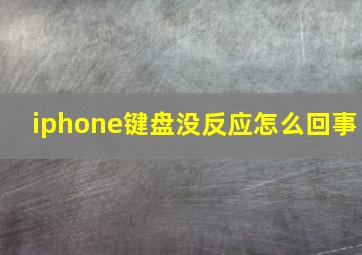 iphone键盘没反应怎么回事