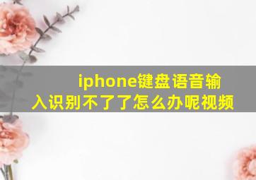 iphone键盘语音输入识别不了了怎么办呢视频