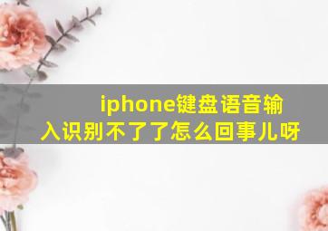 iphone键盘语音输入识别不了了怎么回事儿呀