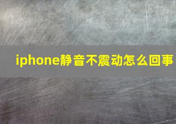 iphone静音不震动怎么回事