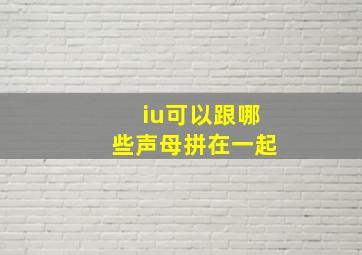 iu可以跟哪些声母拼在一起