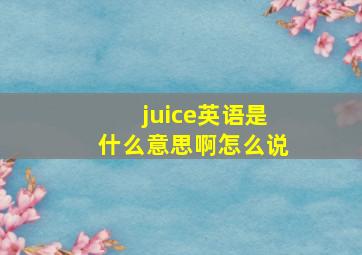 juice英语是什么意思啊怎么说