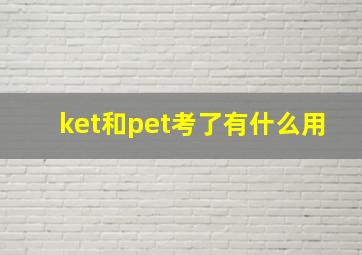 ket和pet考了有什么用