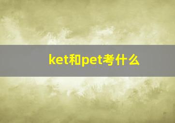 ket和pet考什么