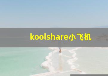 koolshare小飞机