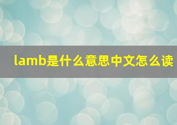 lamb是什么意思中文怎么读