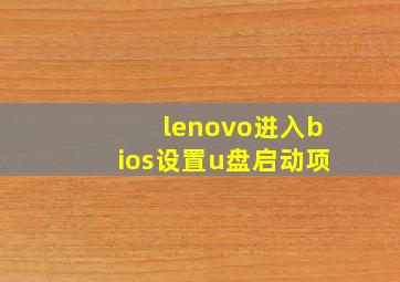 lenovo进入bios设置u盘启动项