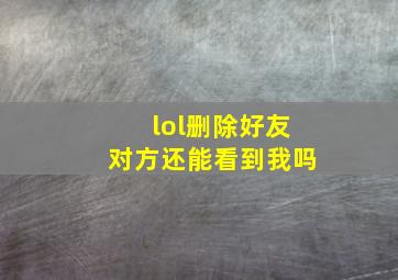 lol删除好友对方还能看到我吗