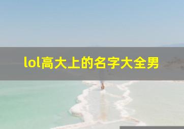 lol高大上的名字大全男