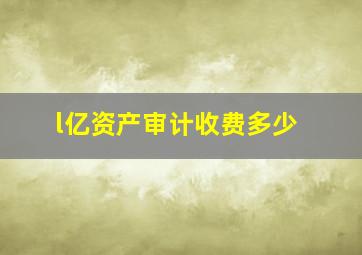 l亿资产审计收费多少