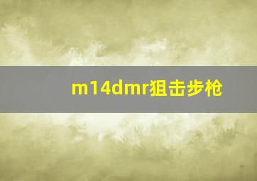 m14dmr狙击步枪