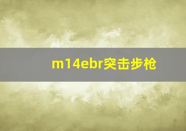 m14ebr突击步枪