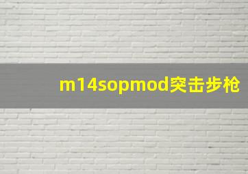 m14sopmod突击步枪