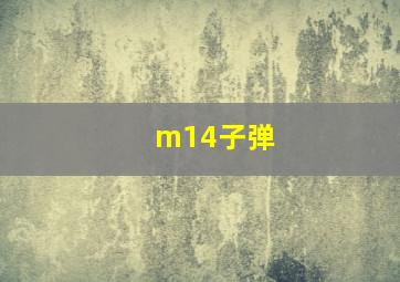 m14子弹