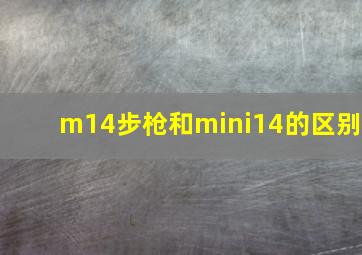 m14步枪和mini14的区别