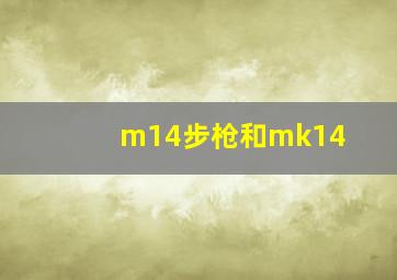 m14步枪和mk14