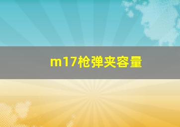 m17枪弹夹容量