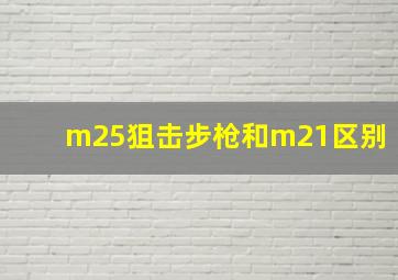 m25狙击步枪和m21区别