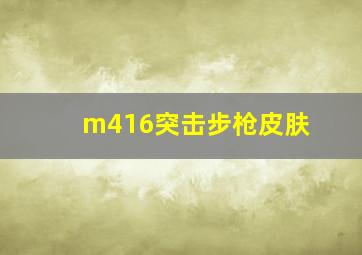 m416突击步枪皮肤